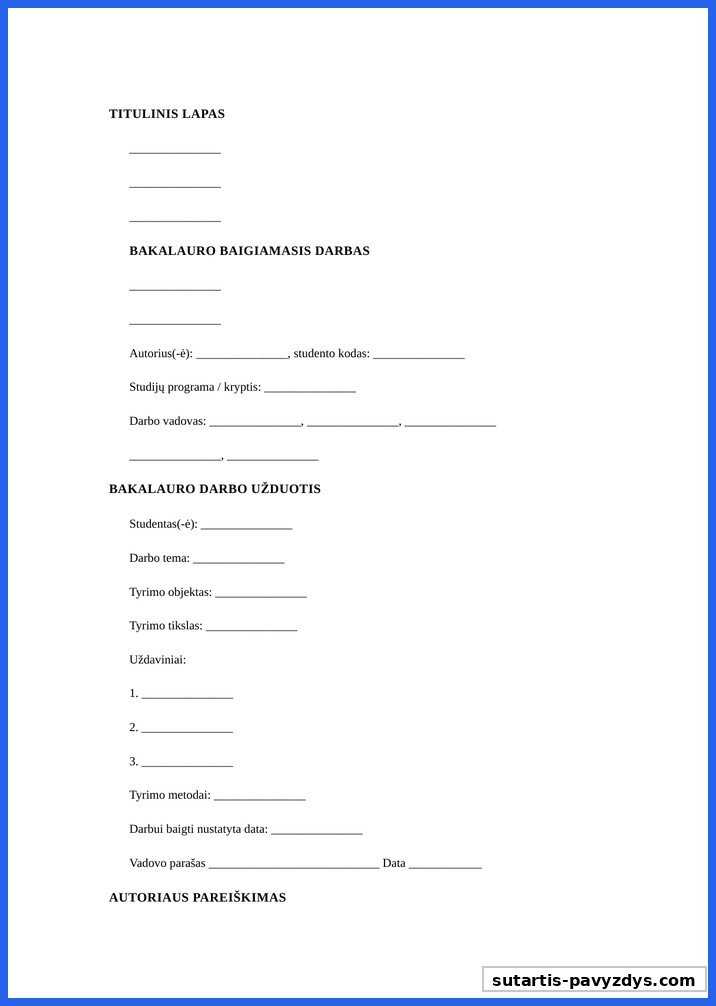 Bakalauro Darbo Pavyzdys