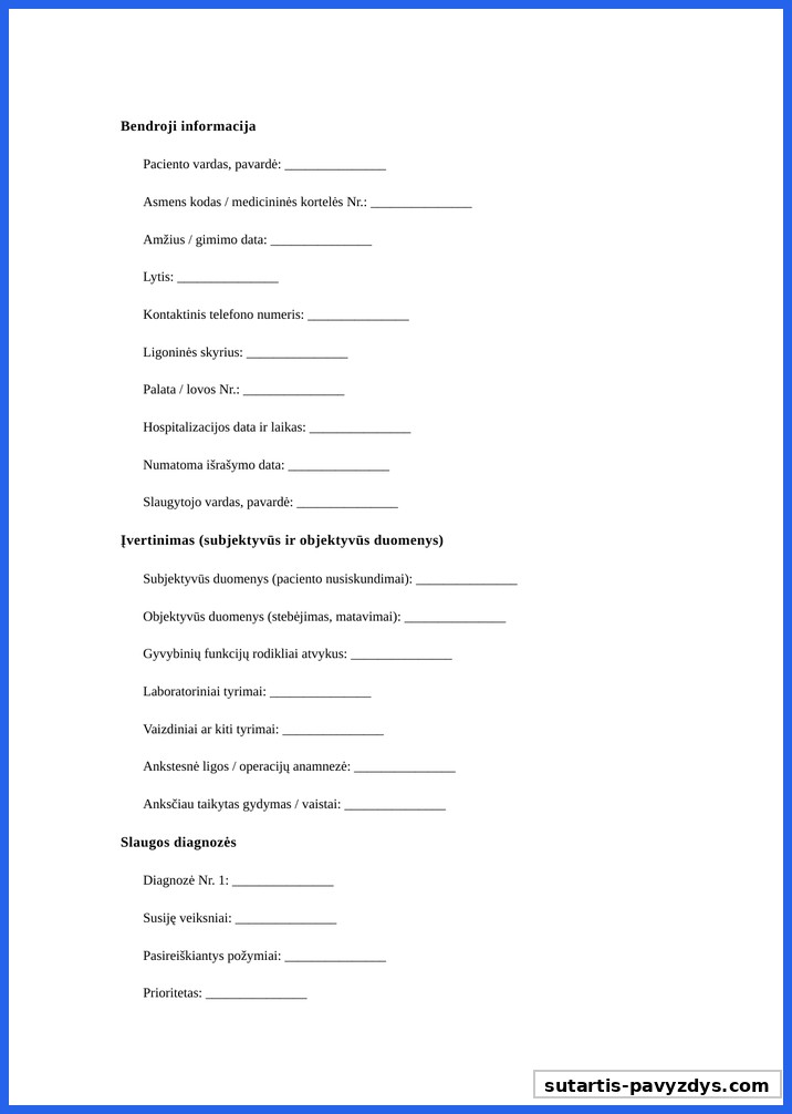 Slaugos Planas Pavyzdys