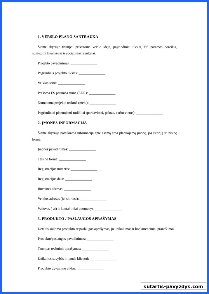 Verslo Planas Es Paramai Gauti Pavyzdys